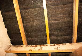 Attic Insulation Removal | Attic Cleaning Beverly Hills, CA