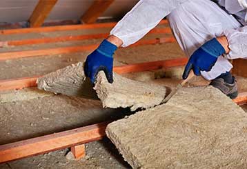 Three Reasons For Attic Insulation Services | Attic Cleaning Beverly Hills, CA